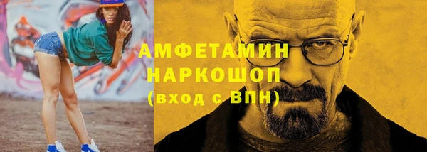 молекула духа Богородицк