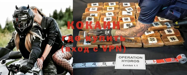 шишки Бронницы