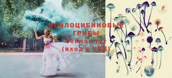 СК Бородино