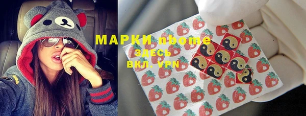 СК Бородино
