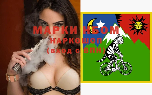 молекула духа Богородицк