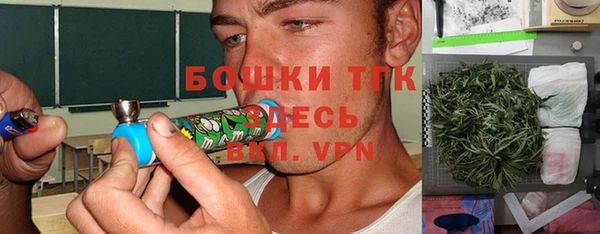 шишки Бронницы